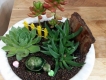 Terrarium