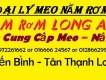 bán meo nấm rơm