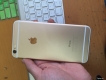 6 plus gold