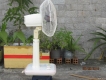 Quạt Điện Nhật Hiệu Summer life