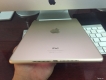 Ipad Air 2 16gb Gold 4G Wifi