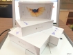 iPhone 6 Plus 16gb Gold - Silver - Gray  Máy Mới 100% - Active Online - Full Box - Nguyên Seal