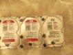 Cần Bán 3 Ổ Cứng 2TB Western Digital Còn Bảo Hành Đến 6/2017