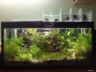 cần bán hồ thủy sinh