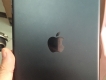 Ipad mini 16G có 3G