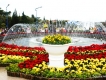 Đà Lạt Ngàn Sắc Hoa, Hương Vị  Ngàn Hoa.