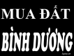 Cần mua đất Bình Dương - Mua đất Mỹ Phước 1 2 3 Giá cao