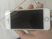 ip5s dep zin