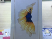 iPhone 6s 64gb gold new 100% chưa active hàng FPT