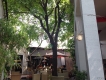 Cần sang quán cafe sân vườn cơm trưa văn phòng 300m2, Q7
