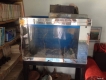 Cho hồ cá 90x50 kính 10ly(Bình Thạnh)