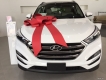 Bán Hyundai Tucson 2016 phiên bản Đặc Biệt, nhập khẩu mới 100%, Giảm 30 triệu và nhiều quà tặng