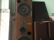 Cần bán loa Kenwood, Diatone77EX, Pioneer 610,... và các amply