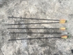 Cung trợ lực (Compound Bow ) cho ai đam mê
