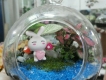Terrarium, hệ sinh thái thu nhỏ