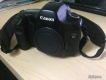 Canon 7D body, Canon 5D body only