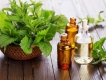 Tinh dầu bạc hà