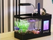 Bể cá phong thủy mini để bàn làm việc