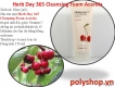 SRM Thefaceshop Herb 365 Day Cleansing Foam