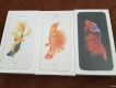 Iphone 6s Plus 64gb seal chưa active giá rẻ !