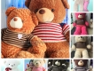 Gấu bông teddy-món quà kỷ niệm ý nghĩa