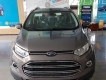 Ford EcoSport 2016 chỉ 215.667.500đ