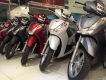 Bán Xe Máy Ưa Chuộng Như Honda, Suzuki, Yamaha, Piaggio... [-Giá Rẻ-]