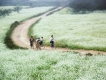 Du lịch mộc châu mùa hoa cải trắng
