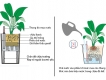 Chậu trồng cây thông minh Gwall !