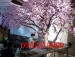 chuyê sửa chữa, thay thế, vệ sinh cây giả uy tín 0902219909