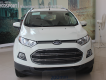 Ecosport giá cả phải chăng
