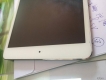 Ipad mini mau trang 16g Wifi 99%