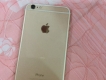 6plus gold 8t8