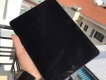 Ipad Pro 9.7 128G Wifi Gray apple care 4/7/2018