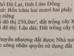 [Đà Lạt] Cần bán đất 422m2 ở P. 8 - 13tr/m2