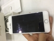 BÁN IP6 GOLD 16G WORLD - 6T300
