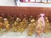 Sỉ cây cành vàng lá ngọc- 0965.798.747