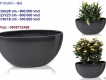 Bán chậu composite giá rẻ nhất SG!!!