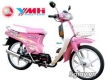 Kawasaki Ymh 50