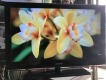 Thanh lý 3 cái Tivi Samsung 40inch full HD zin 100%