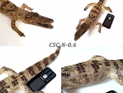 Thanh lý sản phẩm da cá sấu thật 100% - Mỗi loại rất ít sản phẩm