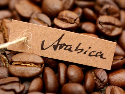 Các loại cà phê ngon nhất Việt Nam - Cafe Thảo Nguyên