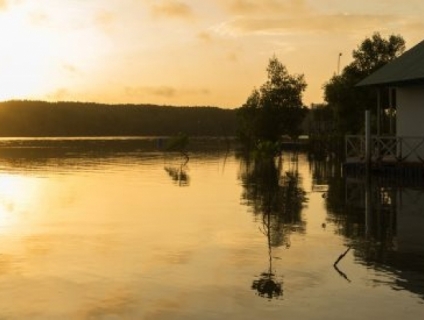 Tham quan du lịch đảo thạnh an cần giờ tuyệt vời cùng Cần Giờ Tourist