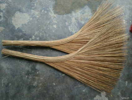 chổi dừa, chổi, chổi cỏ, chổi chíp, chồi bông cỏ