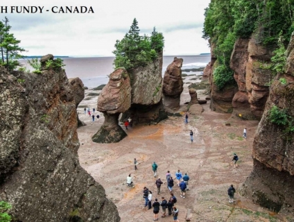 Cùng Let’s Go tham quan vịnh Fundy – Địa danh nổi tiếng thế giới ở Can