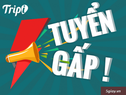Tuyển Gấp Nhân Viên Marketing