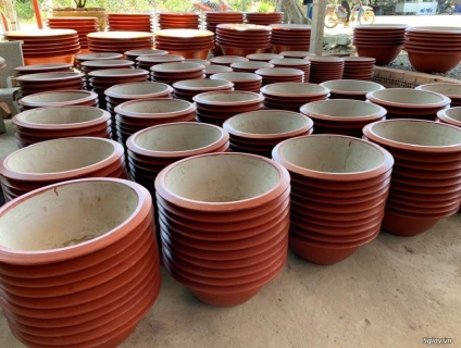 Cung Cấp Chậu Xi Măng - Mụn Dừa Sỉ và Lẻ Số Lượng Lớn