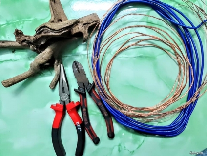 Cây Bonsai Dây Đồng Nguyên Chất.