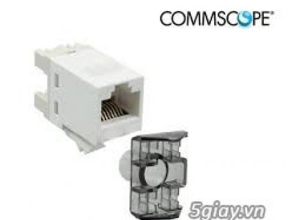 NHÂN MẠNG COMMSCOPE AMP RJ45 CAT5E 1375191-1