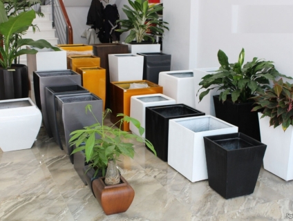 Chậu trồng cây composit
